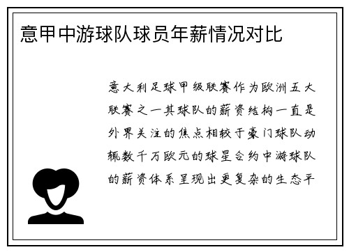 意甲中游球队球员年薪情况对比
